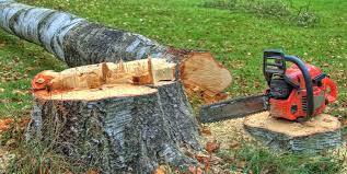 Best Arborist Consultation Services  in Pollock Pines, CA
